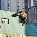 곽만근갈비탕대전갈마점 | 대전 태평소국밥 갈마점 소국밥 &amp; 육사시미 맛집 후기(메뉴판)