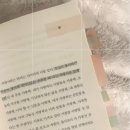 예진D&P