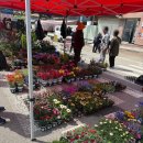 주정차단속-18 | 양평 오일장 날짜 시간 주차장 용문시장 5일장 장날 후기