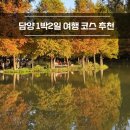 군청 메타세콰이어길 | 담양 1박2일 가을 여행 코스 : 국수거리, 죽녹원, 담양메타프로방스, 메타세콰이어길, 까망감숙소