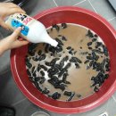 약수정한의원 이미지