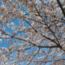 강물놀이터 이미지