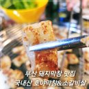 부산 막창 맛집 금정구 금사동 호야막창&amp;소갈비살