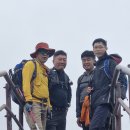 2025년11월 남산 정기 산행 결산 이미지