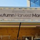 스콜라유치원 이미지