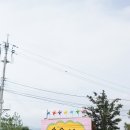 강원도 동물먹이주기체험 -숲속에동물농장