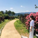 4호선 석대역 | 해운대수목원 깨알정보-동물원,주차장,쉴곳,준비물,관람코스,운영시간,화장실,이용안내도-부산가족...