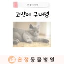 온정동물병원 이미지