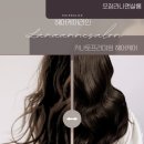 라나헤어살롱 - 제주시 노형1길 6 | 라나헤어살롱