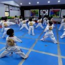 용인대창조태권도장 이미지