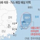 대왕고래 이어 발견된 마귀상어, 경제 가치 최대 730조 예상 이미지