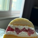 앨리 | 이태원 소금빵산도 맛집 아벡쉐리앨리 아벡샌드 후기