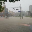 횡성 읍사무소 이미지