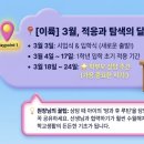 마재초교 이미지