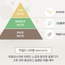 주식회사 푸른솔 | 내돈내산 바디로션 사용후기_ 바이올가 베이비 로션&amp; 그린핑거 포레스트 마일드 너츠 로션