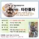 6.11(일)북악생물탐사대(애완 거미 타란튤라)_오전10시30분_7세이상 어린이 대상 이미지