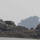 서도면-1 이미지