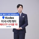 개미투 Daum카페