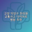 고양 덕양구 한의원 교통사고 다이어트 체중관리 추나 난청이명 5곳후기 TOP5 잘하는곳
