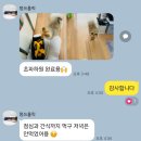 동물보육원 안산지부 이미지