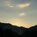 메르(MER) 네이버블로그