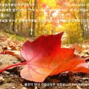 Re:나주 부동산중 도로접한 물건입니다 (면적순서) 이미지