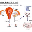 (주)성공냉동 이미지
