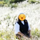 제주맘 - 제주시 신산로11길 6 | 제주맘