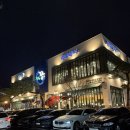 별내 장어의꿈 내돈내산 솔직 후기! 먹고 난 다음날 진짜 힘 솟음 (남자 보양식 킹정)