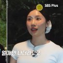 장미 민박 이미지