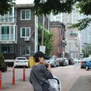 세류동 수원천 옆 길 | 🌸 수원 세류동 동네카페 ‘벚꽃길’ 🌸