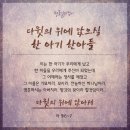 말일에 등장할 다윗왕 안상홍님/ 하나님의교회 세계복음선교협회 이미지