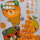 공항관광안내소 | 일본 마쓰야마 공항 제주항공 무료셔틀버스 후기