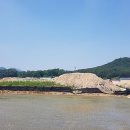 탄탄하개 유치원 이미지