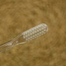 주식회사 비손 이미지