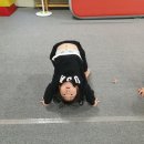 포디움스타스포츠
