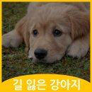 철원동물병원 이미지