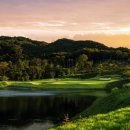 엑스골프 이미지