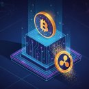 비앤비(BnB) 이미지