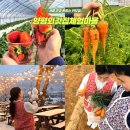 외갓집체험마을 | 겨울 촌캉스 양평외갓집체험마을 숙소 커플여행 농촌체험 후기