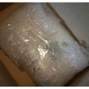 올캣코리아 | 2013 올캣 페스티벌 후기 공모 당첨 선물