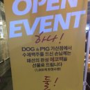 서울컴퓨터세탁소 이미지