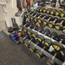 우면 | 서초피티 양재피티 후기 운동하는날 우면점에서 보디빌딩 대회 준비한 6개월의 변화