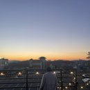 핀스커피
