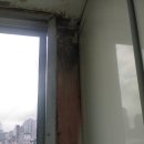 사임당로19길 19-8 이미지