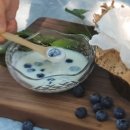 데미샘꿈그린 이미지