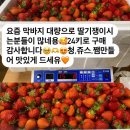 현광농장 이미지