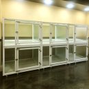 멍멍이를 부탁해 이미지