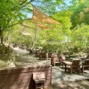 리틀포레 이미지