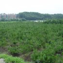 갈월중학교 이미지